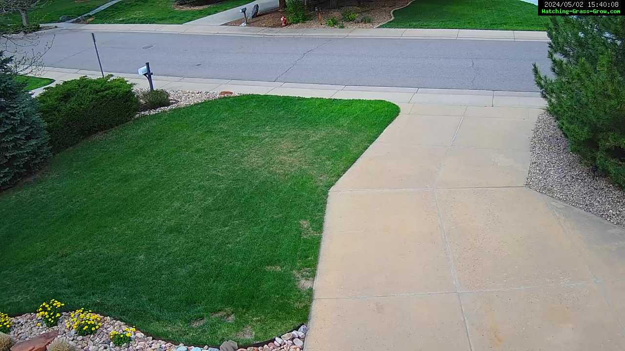 grass webcam